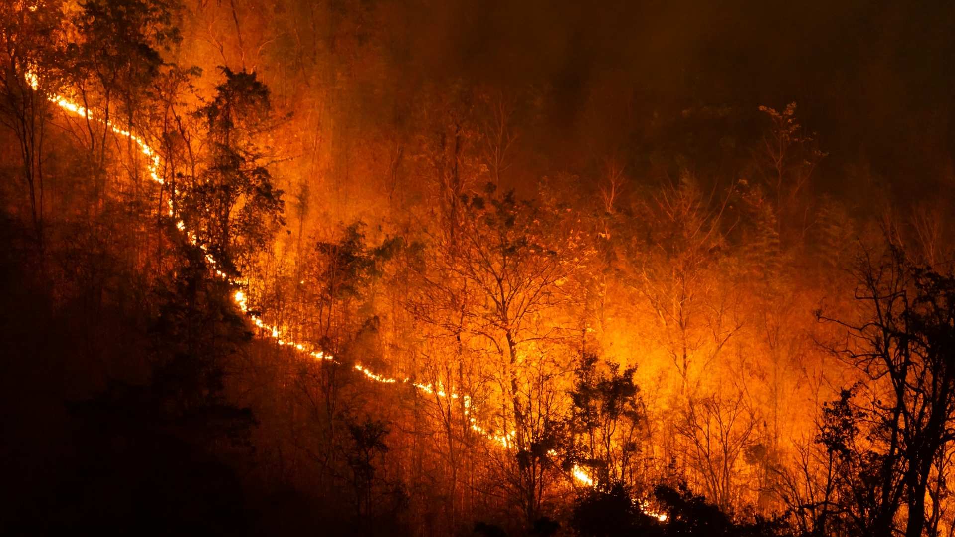 Hughes Fire Threatens Southern California as Firefighters Make Progress