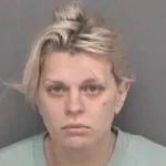 Brittany Fortinberry Indiana sex crime charges 2025
