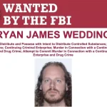 U.S. Offers $10 Million Reward for Fugitive Ryan Wedding