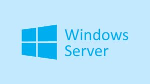 Windows Server 2025 hotpatching fee discussion